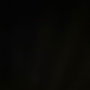 Lands end button down